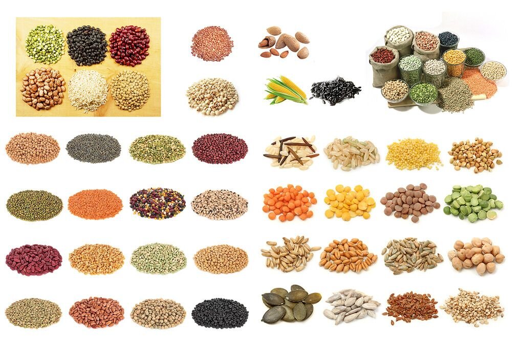 grain roasting machine.jpg