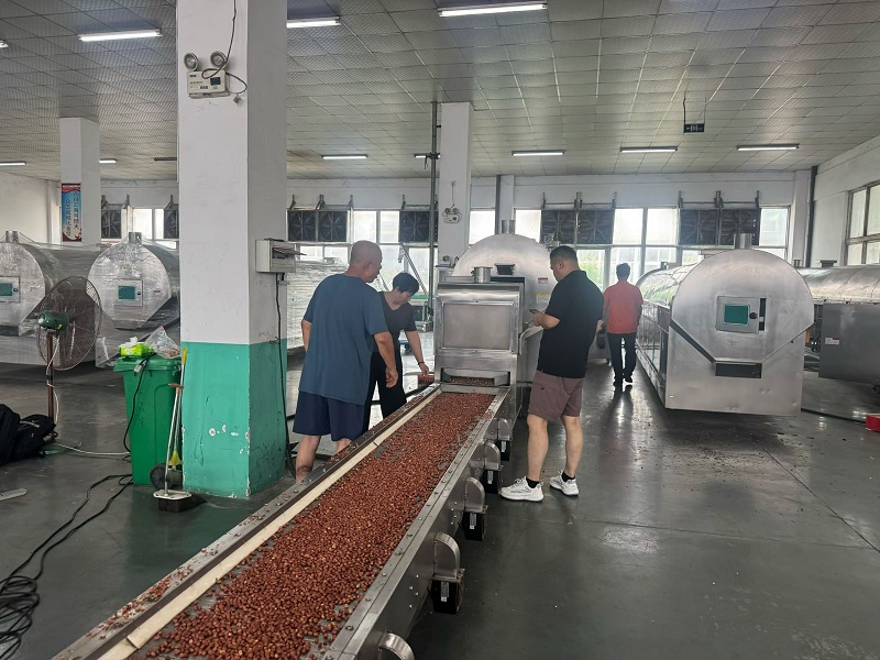 Testing the peanut roasting equipment for the customers